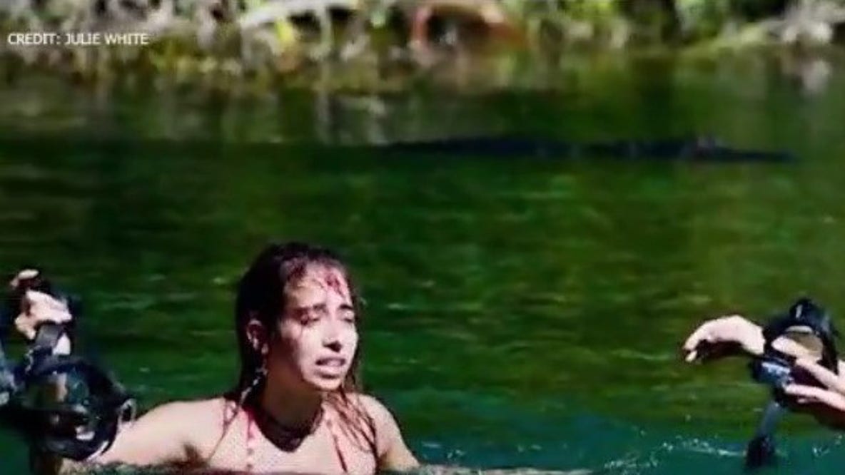 Alligator bit woman while she was snorkeling